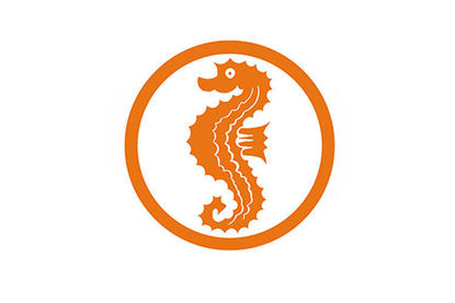 Bild von Schwimmlernkurs Seepferdchen